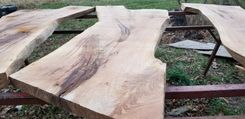 Live Edge White Oak Slab Highly Figured O105 2 small