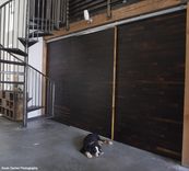 Barn Doors From Salvaged Wood 1 small