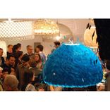 Parakeet Dome 2 small