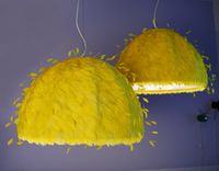 Parakeet Dome 4 small
