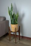 Mid-Century Modern Plant Stand 2 small