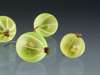 One Realistic Glass Green Gooseberry Sculpture, Hand Blown and Life-Sized 1 small