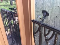 Staircase Railing. Blacksmith Forged Metal Outdoor Railing. 2 small