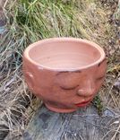 Face Planter 5 small