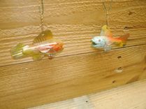 Fish Decoys And Decorative Fish Lures 6 small