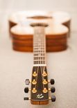 Handmade Acoustic Guitar 6 small