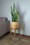 Mid-Century Modern Plant Stand 3 small