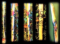 Hiking Stick, Custom, Personalized, Wood Burned Images, Words 4 small