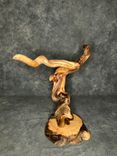 Bug Track Juniper Turkey Taxidermy Pedestal 6 small