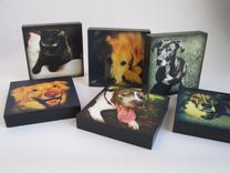 Pet Portrait, Pet Memorial 2 small
