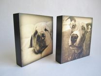 Pet Portrait, Pet Memorial 3 small