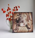 Pet Portrait, Pet Memorial 1 small