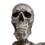 Halloween Prop Desiccated Mummy/Skeleton 1 small