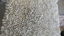Wall Sculpture Of Sea Anemone 4 small