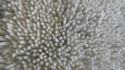 Wall Sculpture Of Sea Anemone 2 small