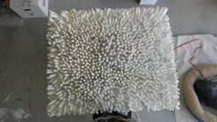 Wall Sculpture Of Sea Anemone 1 small