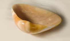Sea Shells Stone Sculptures 4 small