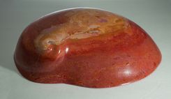 Sea Shells Stone Sculptures 8 small