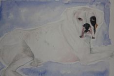 Doc-Animal Portrait 1 small