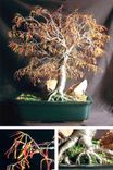 Autumn Bonsai - Wire Tree Sculpture 1 small