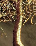 Asian Gold Leaves - Wire Tree Sculpture 2 small