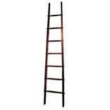 Craftsmen Ladder 1 small
