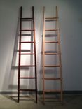 Craftsmen Ladder 3 small