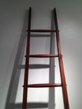 Craftsmen Ladder 5 small