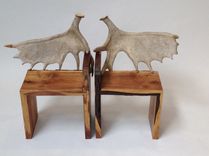 Antler Back Walnut Chairs 1 small