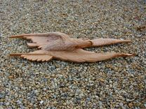 Winged Victory 12 small