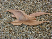 Winged Victory 13 small