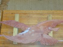 Winged Victory 27 small