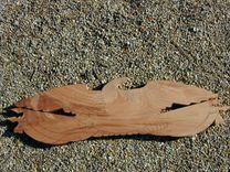 1851 America Eagle 1/2 Scale From The Original 2 small