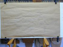 Atlantic Cod 2 small