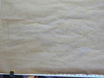 Atlantic Cod 4 small