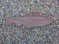 Atlantic Cod 5 small