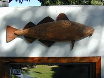 Atlantic Cod 11 small