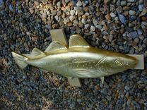 Atlantic Cod 18 small