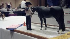 Horse Portrait Sculptures By Sheila Bishop 7 small