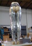 Beyonce Robot Chaps 1 small