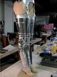 Beyonce Robot Chaps 3 small