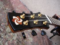 Steel String Guitar 2 small