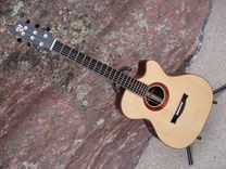 Steel String Guitar 1 small