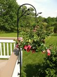 Plant Hangers 2 small