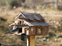 Bird Houses 3 small