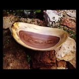 Natural Edge Bowl 2 small