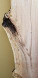 Spalted Elm Live Edge Slab Kiln Dried 54 Inches E101 7 small