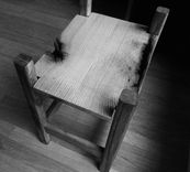 3 Oaks Stool- White Oak, Wormy Chestnut, Red Oak 1 small