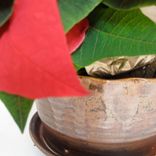 Small Pottery Planter In Bronze With Attached Saucer 1 small
