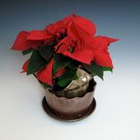 Small Pottery Planter In Bronze With Attached Saucer 5 small